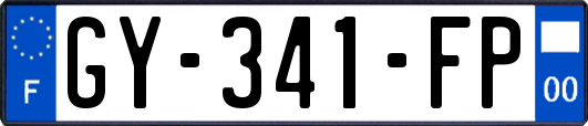 GY-341-FP