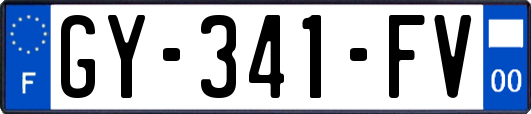 GY-341-FV