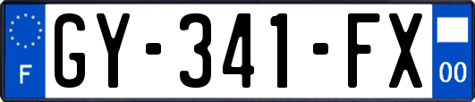 GY-341-FX