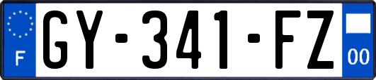 GY-341-FZ