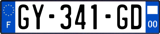 GY-341-GD