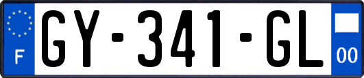GY-341-GL
