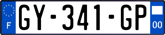 GY-341-GP