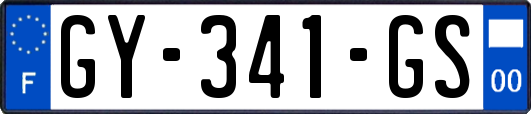 GY-341-GS