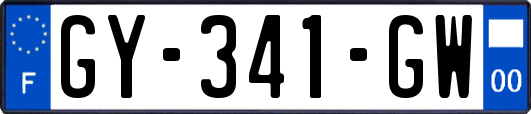 GY-341-GW
