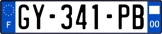 GY-341-PB