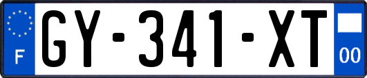 GY-341-XT
