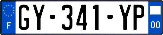 GY-341-YP