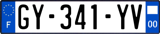 GY-341-YV