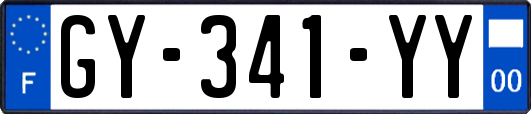 GY-341-YY