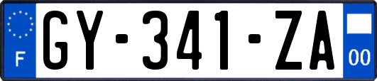 GY-341-ZA