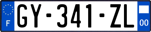 GY-341-ZL