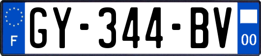 GY-344-BV
