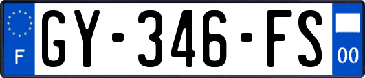 GY-346-FS