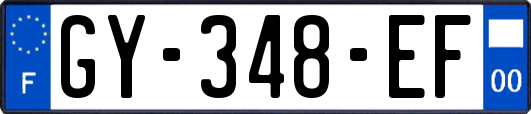 GY-348-EF