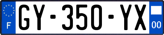 GY-350-YX