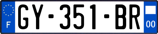 GY-351-BR