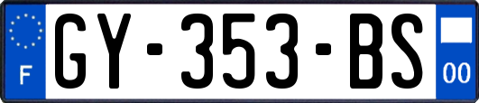 GY-353-BS