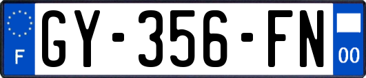 GY-356-FN