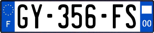 GY-356-FS