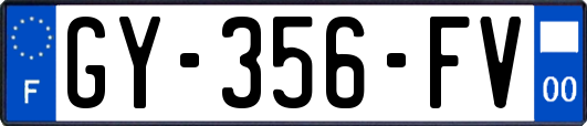 GY-356-FV