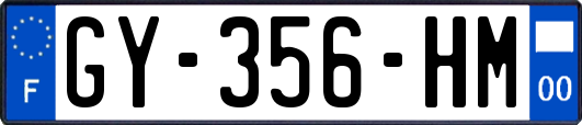 GY-356-HM