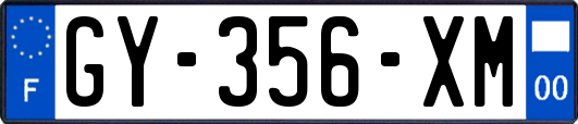GY-356-XM