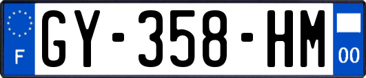 GY-358-HM