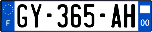 GY-365-AH