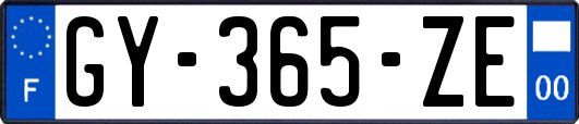 GY-365-ZE