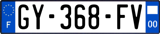 GY-368-FV