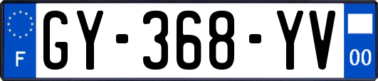 GY-368-YV