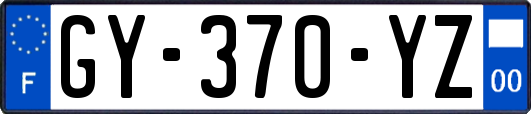 GY-370-YZ