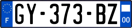 GY-373-BZ
