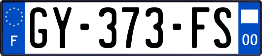 GY-373-FS