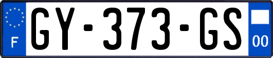 GY-373-GS