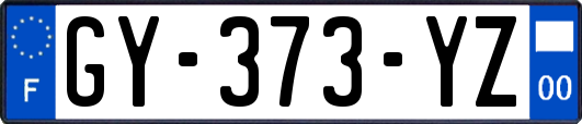 GY-373-YZ