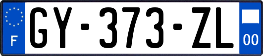 GY-373-ZL