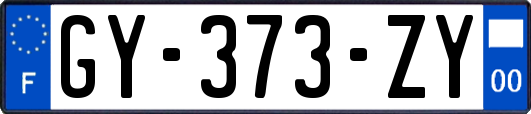 GY-373-ZY