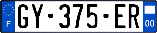 GY-375-ER