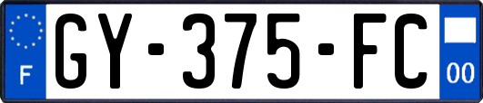GY-375-FC