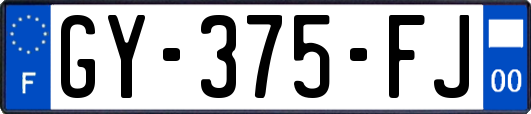 GY-375-FJ