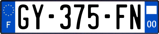 GY-375-FN