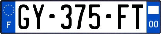 GY-375-FT