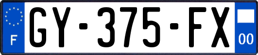 GY-375-FX