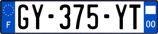 GY-375-YT