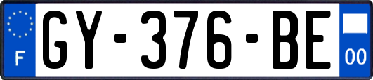 GY-376-BE