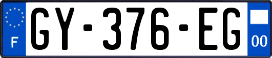 GY-376-EG
