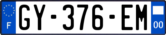 GY-376-EM