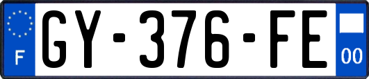 GY-376-FE